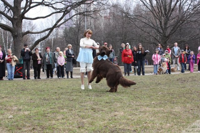 Фотография № 93111