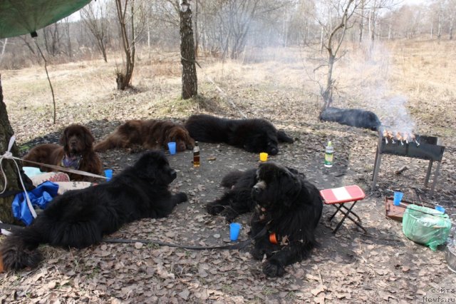 Фотография № 93166