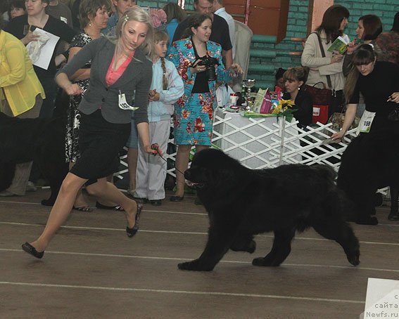 Фотография № 93171