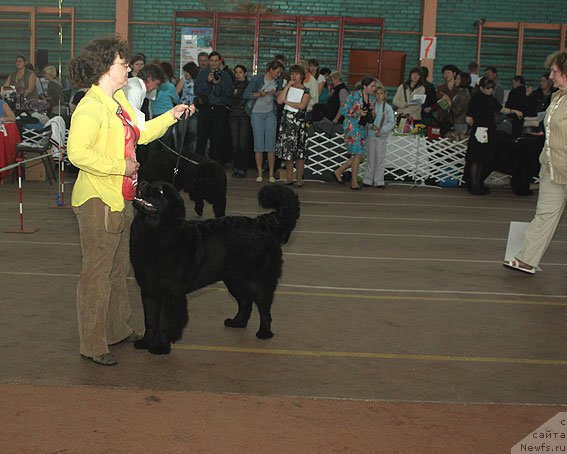 Фотография № 93184