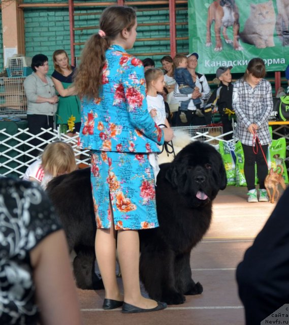 Фотография № 93197