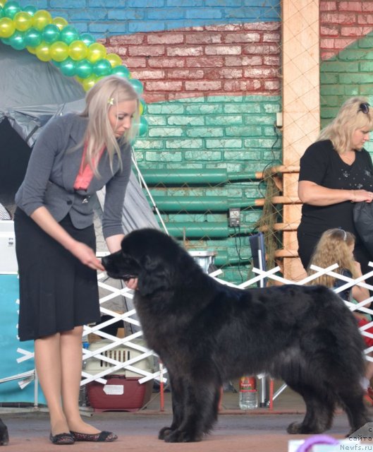 Фотография № 93199