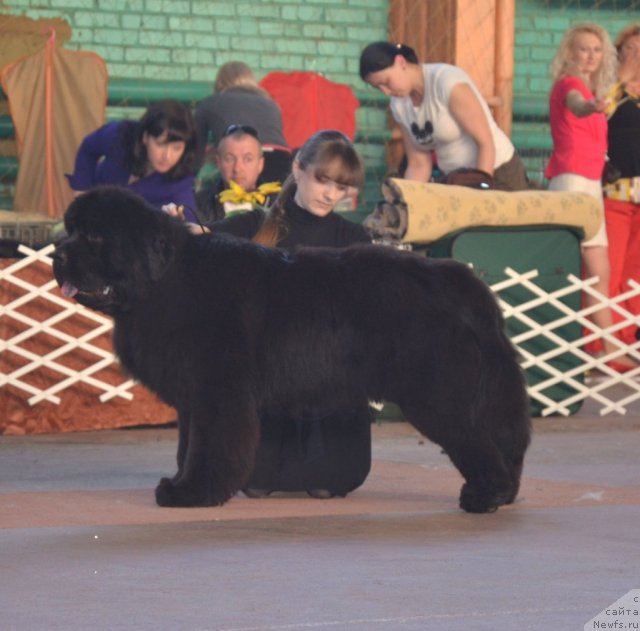 Фотография № 93201