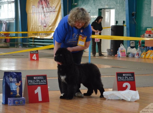 Фотография № 93212