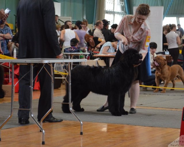 Фотография № 93213