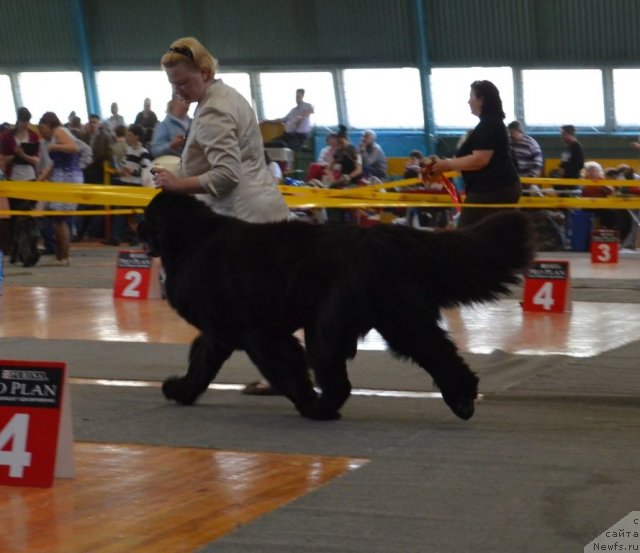 Фотография № 93215