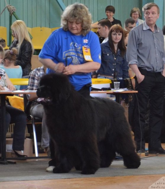 Фотография № 93216