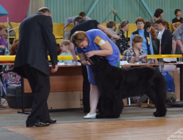 Фотография № 93217