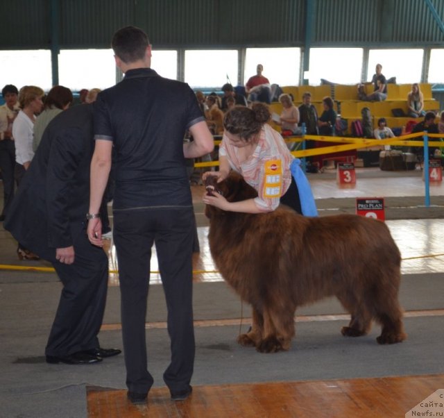 Фотография № 93222