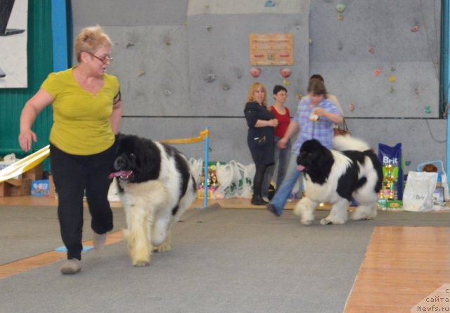 Фотография № 93226