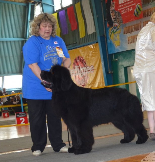 Фотография № 93230