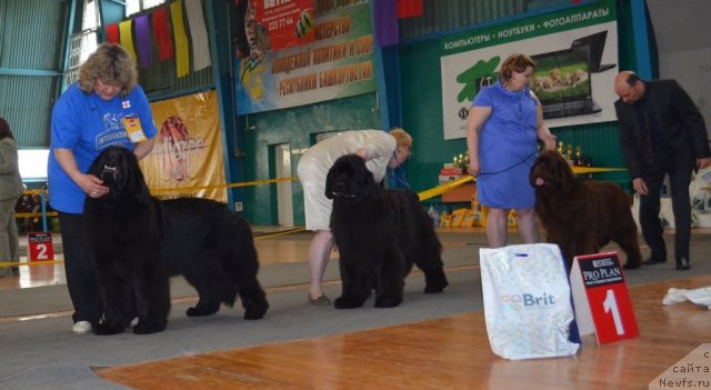 Фотография № 93231