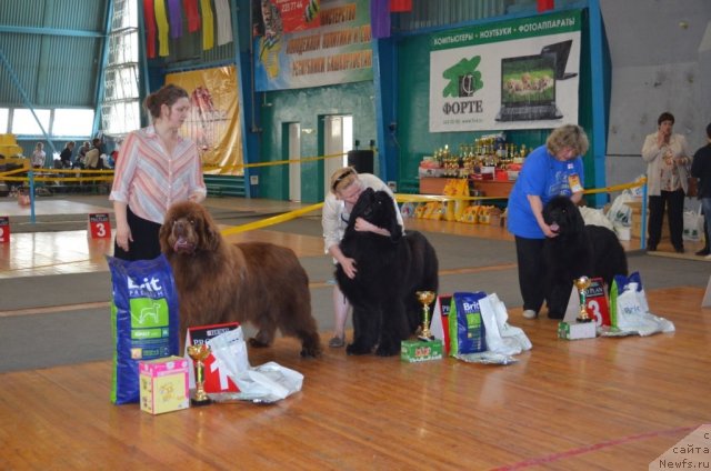 Фотография № 93232