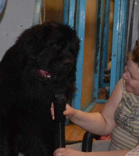 Фотография № 93234