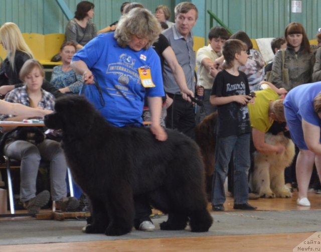 Фотография № 93253