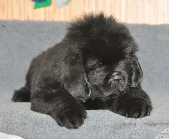 Фото: Бегущая по волнам ФАИР ПЛЭЙ