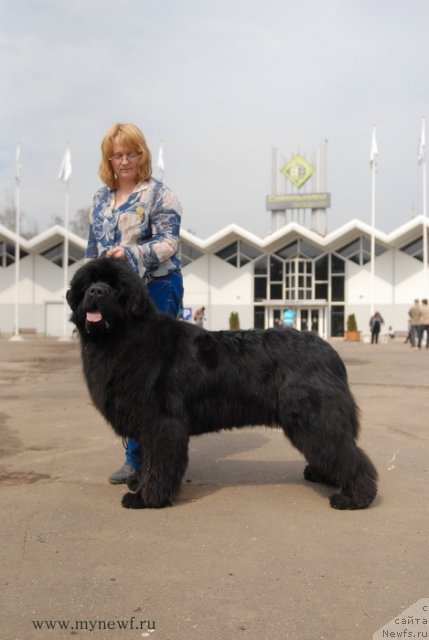 Фотография № 93303