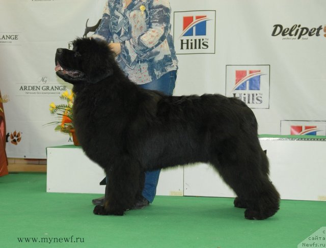 Фотография № 93306