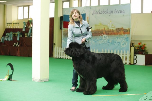 Фотография № 93319