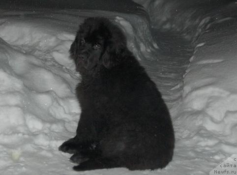 Фотография № 9332