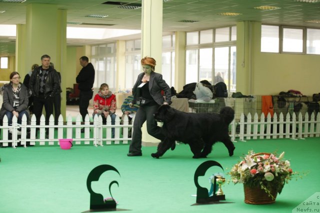 Фотография № 93322