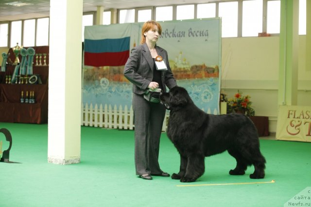 Фотография № 93325