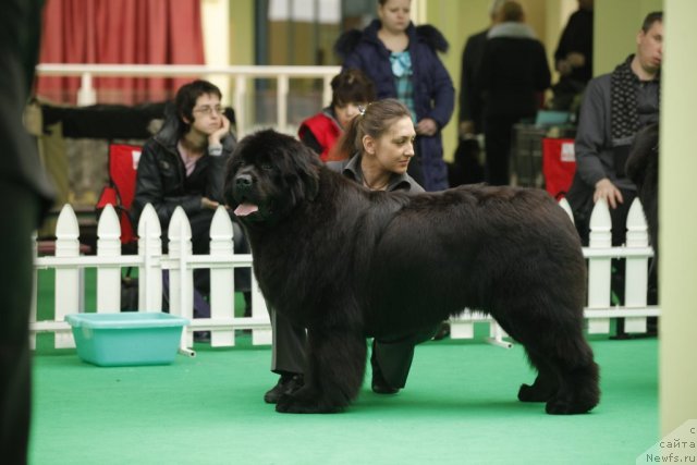 Фотография № 93328