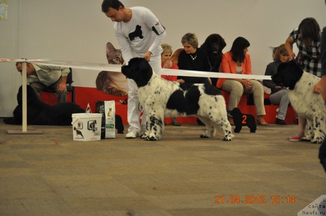 Фотография № 93407