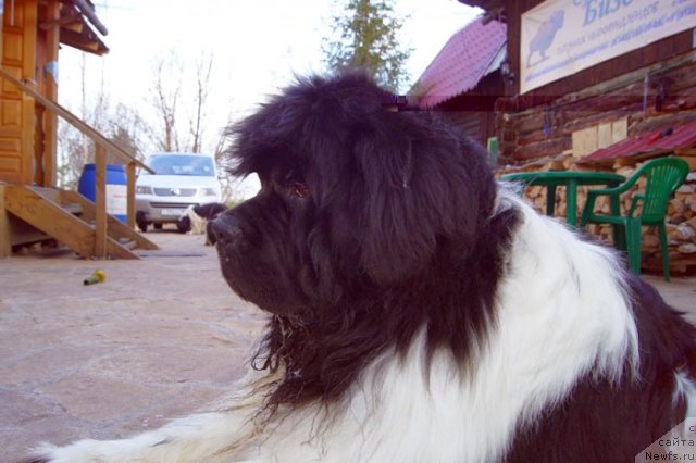 Фотография № 93461