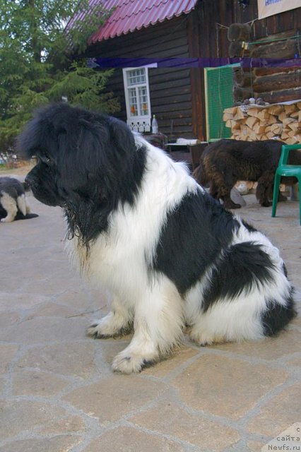 Фотография № 93466