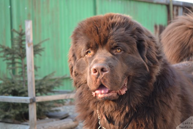 Фотография № 93548