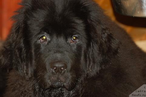 Фотография № 9356