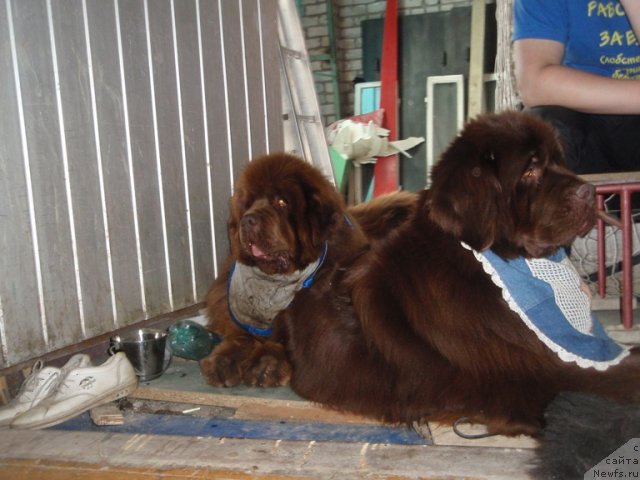 Фотография № 93570