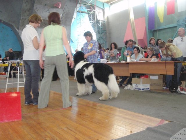 Фотография № 93573