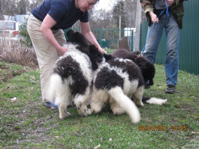 Фото: Вся та же компания!!!