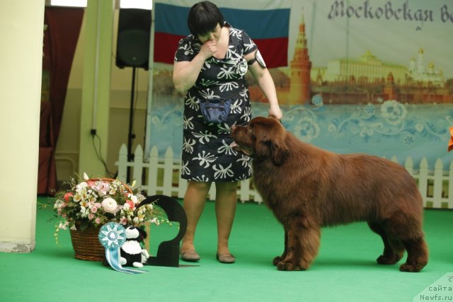 Фотография № 93596