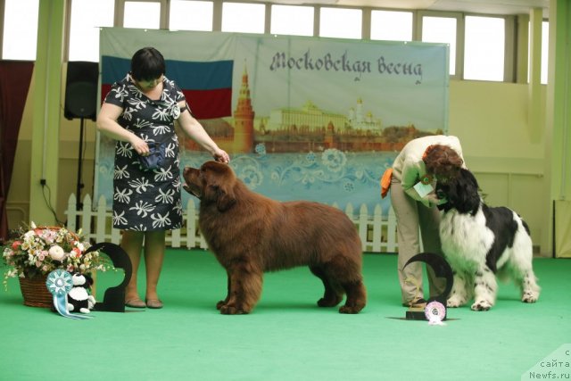 Фотография № 93597