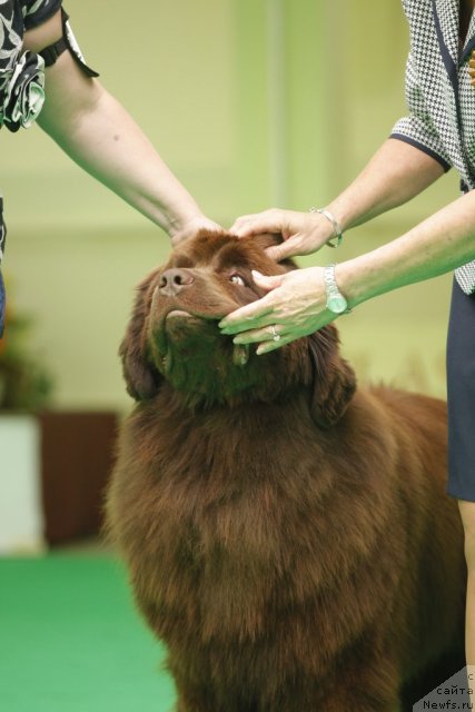 Фотография № 93599