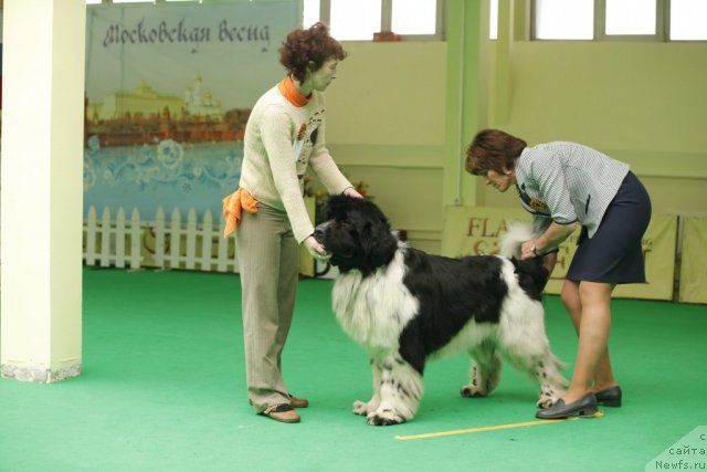 Фотография № 93605