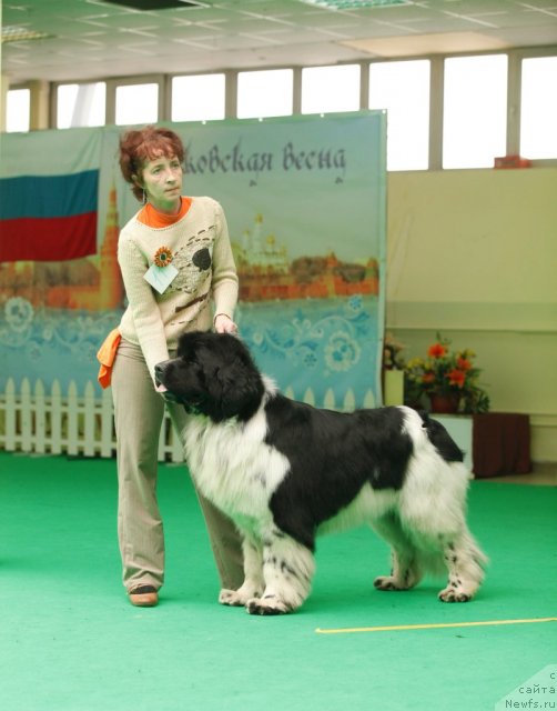 Фотография № 93608