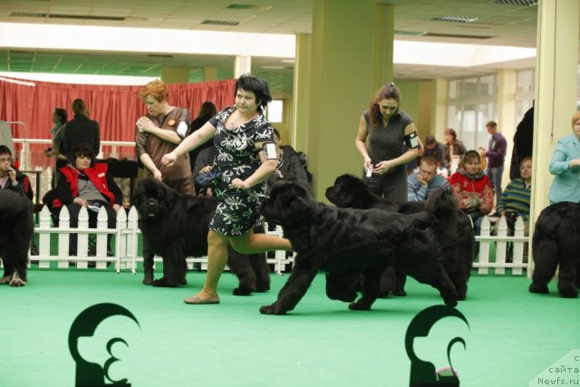 Фотография № 93617