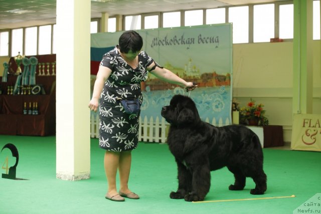 Фотография № 93618