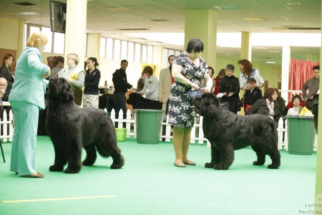 Фотография № 93622