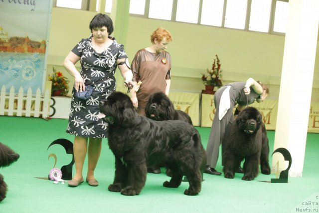 Фотография № 93624