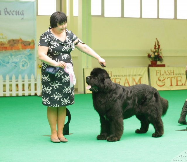 Фотография № 93625