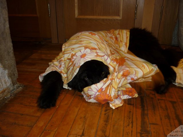 Фото: Sergey Krasnov (Сергей Краснов)