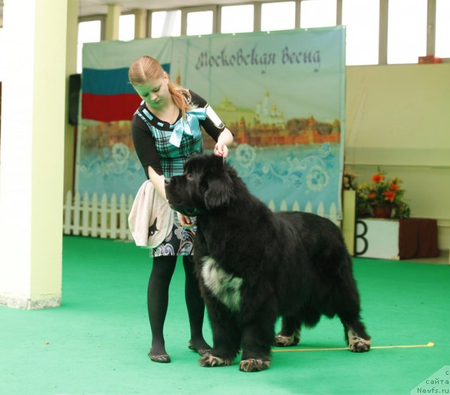 Фотография № 93636