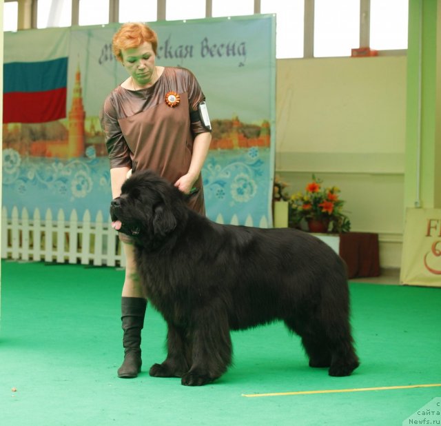 Фотография № 93643