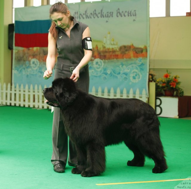 Фотография № 93645