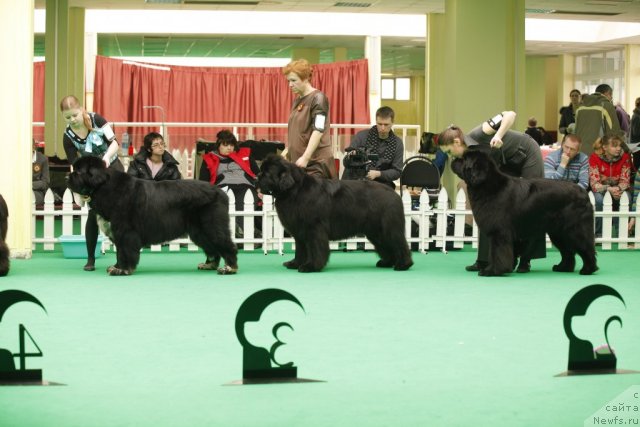 Фотография № 93646